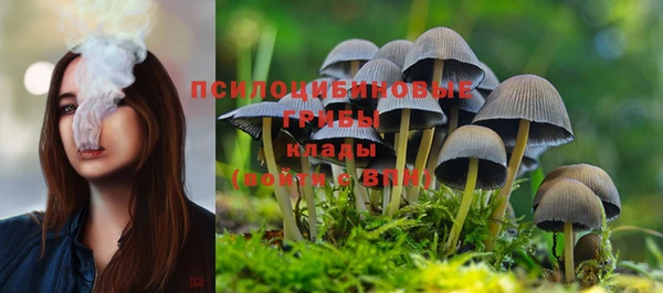 крисы Абинск