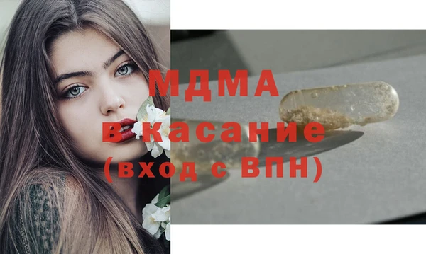 индика Алзамай